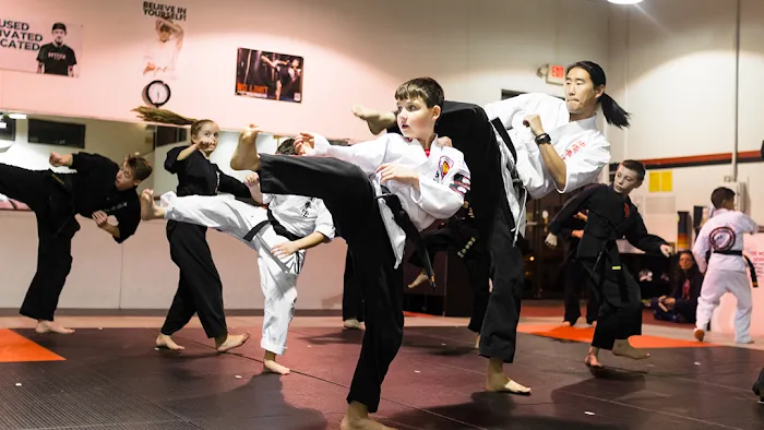 Okinawa Kenpo Karate Academy Picture 3
