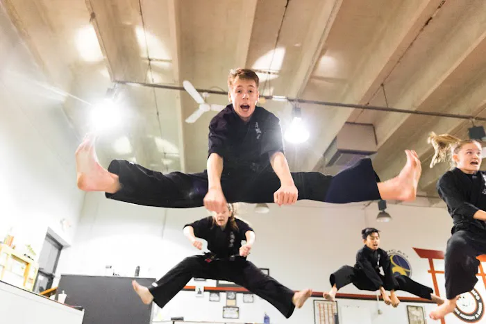 Okinawa Kenpo Karate Academy Picture 6