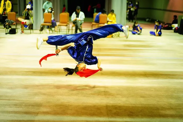 Zhuang’s Taichi and Kungfu Academy Picture 4
