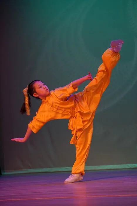 Zhuang’s Taichi and Kungfu Academy Picture 3