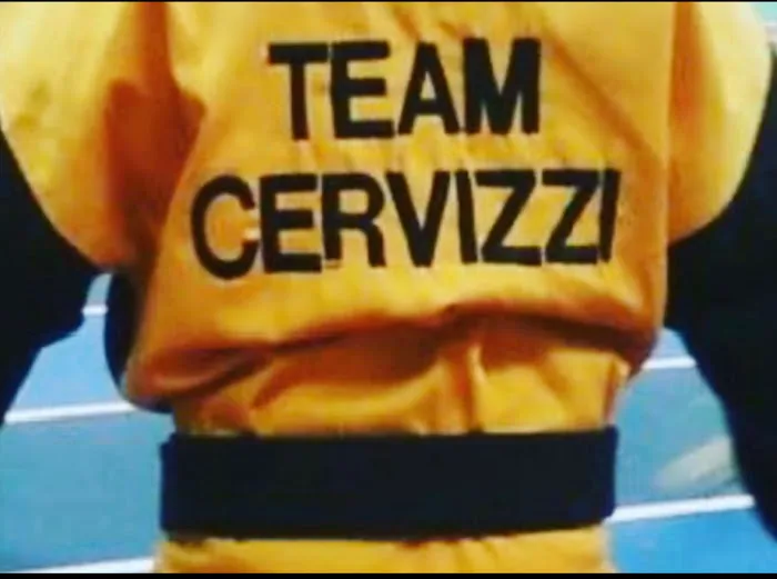 Cervizzi's Martial Arts Academy Picture 5