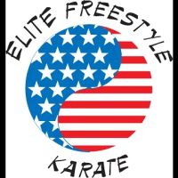 Elite Freestyle Karate ico