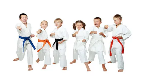 OG Martial Arts Supplies & Screen Printing Picture 2