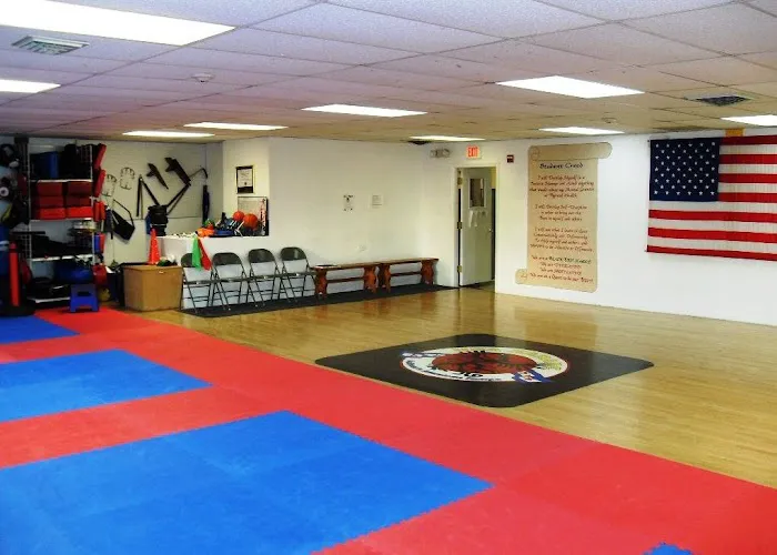 USA Karate Picture 3
