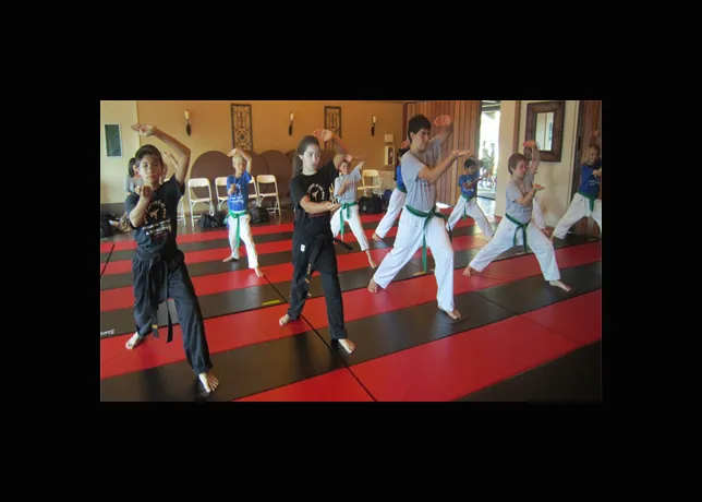 Zacharatos Karate Kickboxing/MMA & Soccer Picture 2