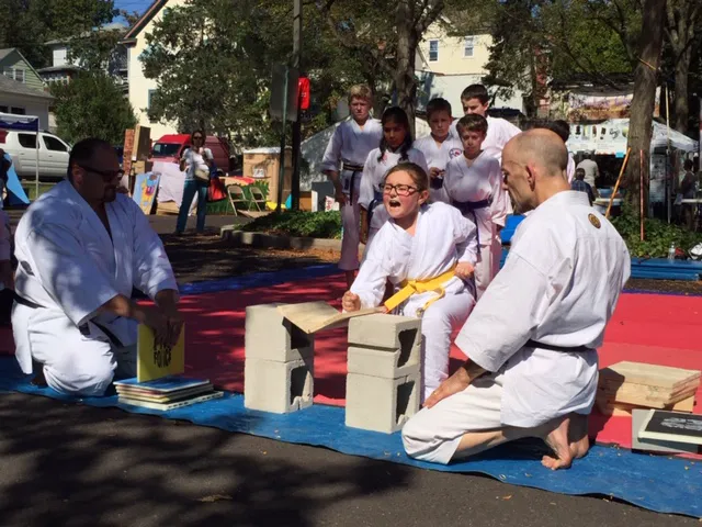 Shuto Karate Club Sellersville Picture 1