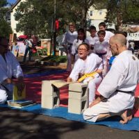 Shuto Karate Club Sellersville ico