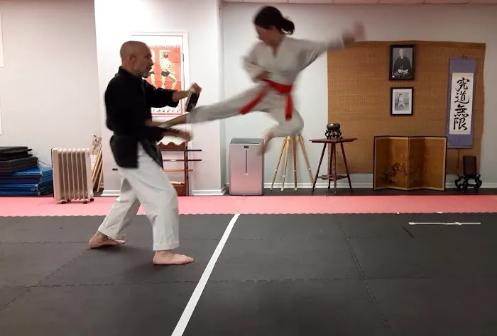 Shuto Karate Club Sellersville Picture 3