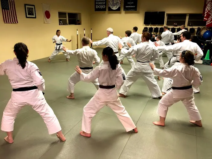 Granite Forest Dojo Picture 1