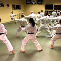 Granite Forest Dojo ico