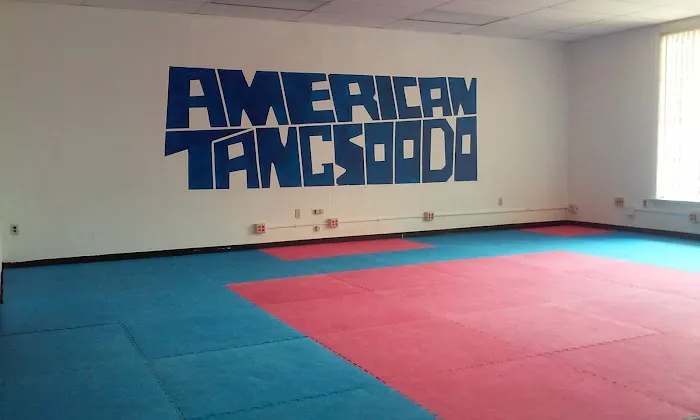 American Tang Soo Do Karate Picture 3