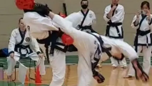 American Tang Soo Do Karate Picture 1