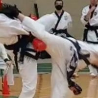American Tang Soo Do Karate ico