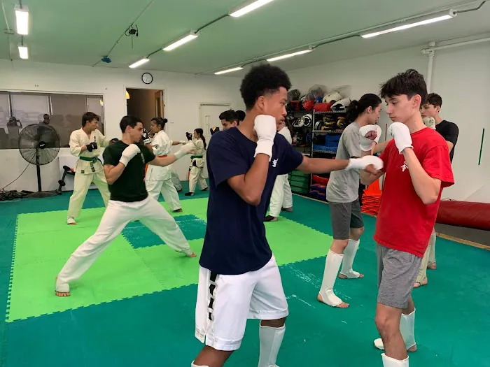 Renshin-Kai Karate - Matsumoto Dojo Picture 3