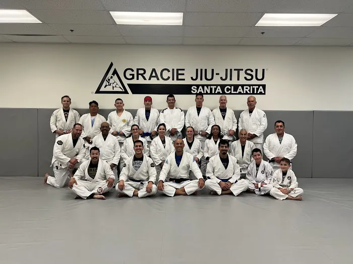 Gracie Jiu-Jitsu Picture 2