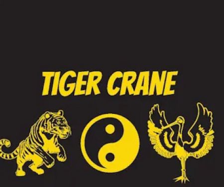 Tiger Crane Martial Arts and Fitness