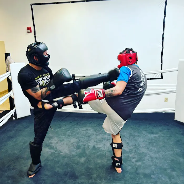 Bayonne MIxed Martial Arts Picture 3