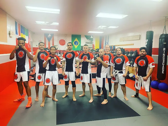 Bayonne MIxed Martial Arts Picture 1