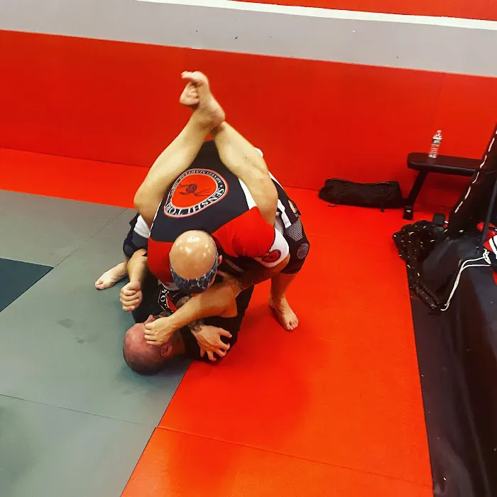 Bayonne MIxed Martial Arts Picture 4