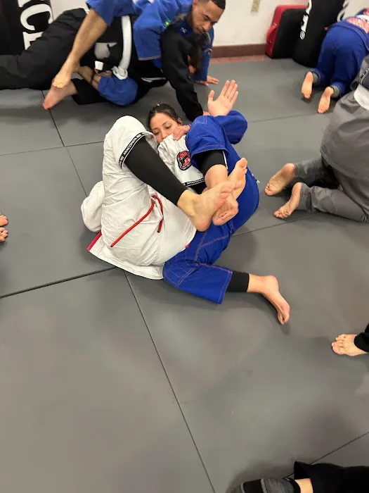 Bayonne MIxed Martial Arts Picture 8