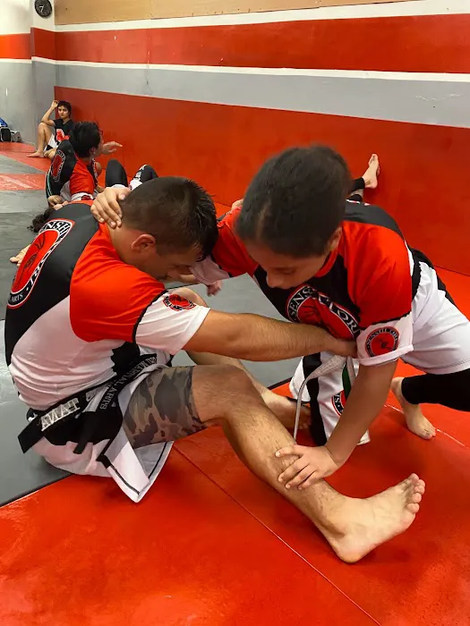 Bayonne MIxed Martial Arts Picture 10