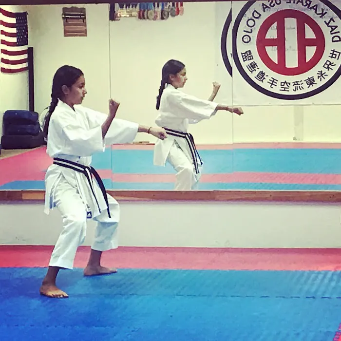 Diaz Karate USA Picture 8