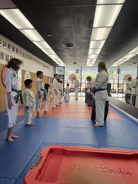 Palm Springs Karate Academy Picture 1