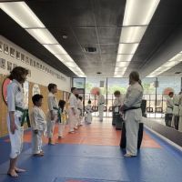 Palm Springs Karate Academy ico