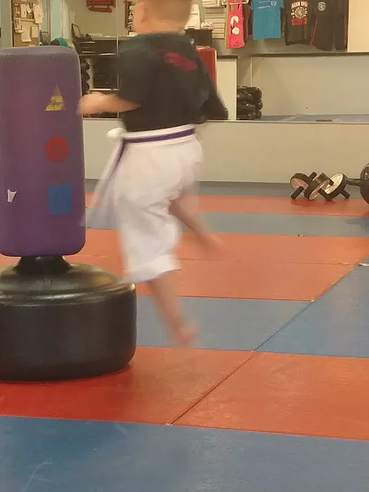 Universal Martial Arts Center Picture 8