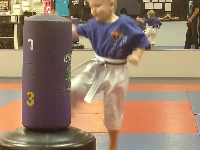Universal Martial Arts Center Picture 9
