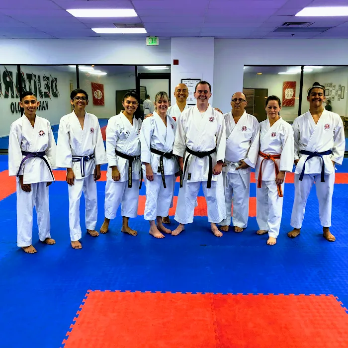 Dejitaru Karate Dojo Picture 3