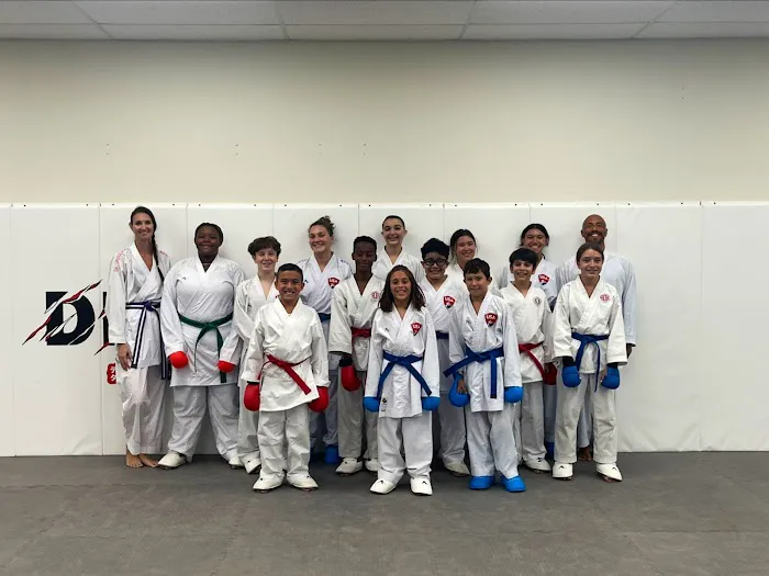 Dejitaru Karate Dojo Picture 5