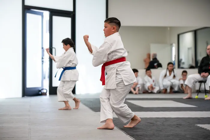 Dejitaru Karate Dojo Picture 8