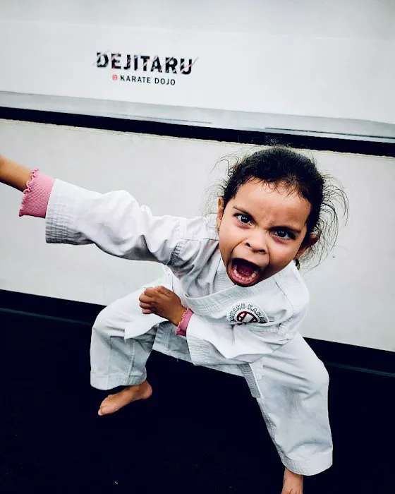 Dejitaru Karate Dojo Picture 10