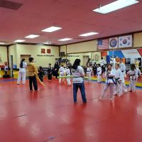 US Taekwondo Team ico