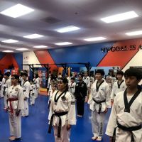 US Taekwondo Team (USTT) ico