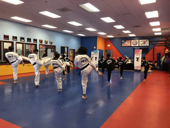 US Taekwondo Team (USTT) Picture 2
