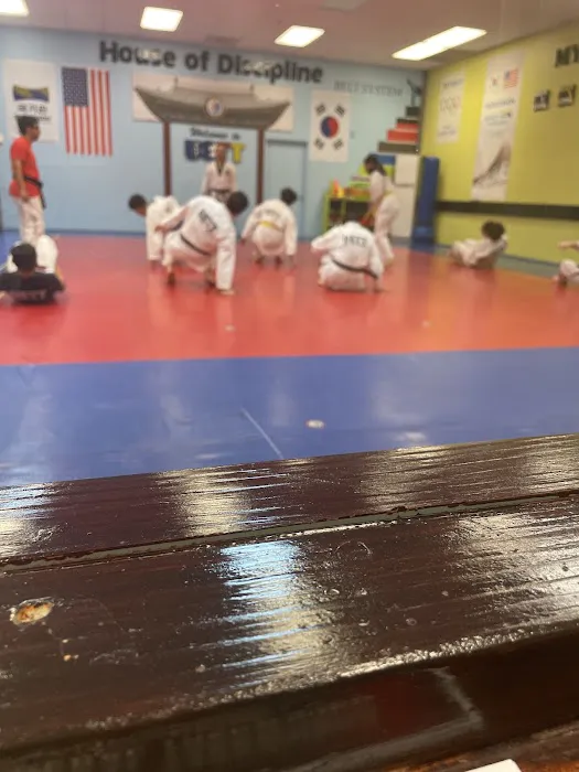US Taekwondo Team (USTT) Picture 8