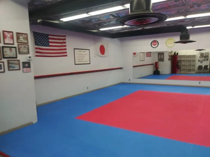 Shotokan Karate Association of Southern California Picture 8