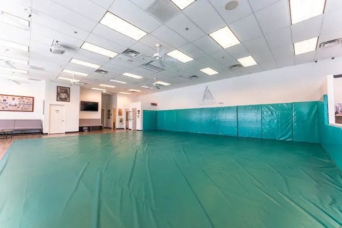 Gracie Jiu-Jitsu Indio Picture 1