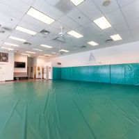 Gracie Jiu-Jitsu Indio ico