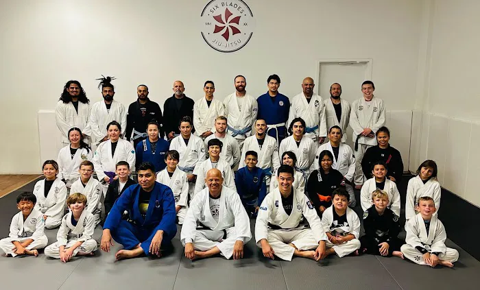Six Blades Jiu Jitsu La Quinta Picture 3