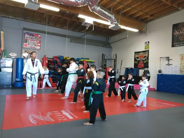 Kihon MMA and Brazilian Jiu-Jitsu Picture 1