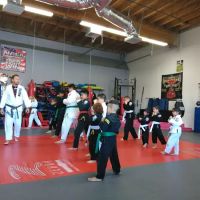 Kihon MMA and Brazilian Jiu-Jitsu ico