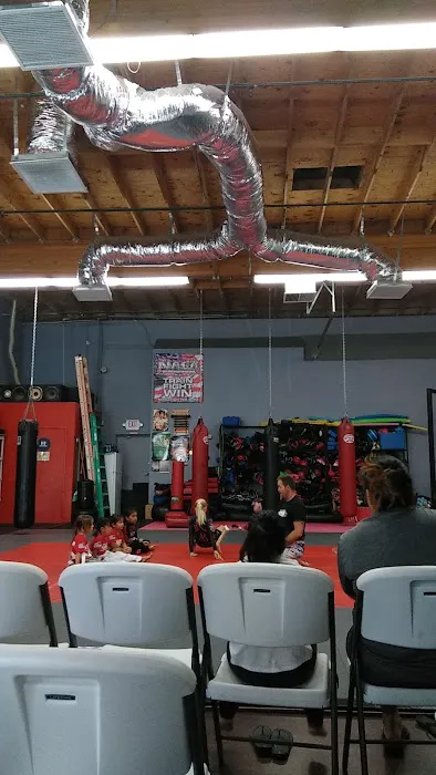 Kihon MMA and Brazilian Jiu-Jitsu Picture 8
