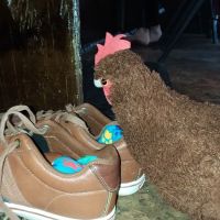 Rey Ortega Academy of Martial Arts ico