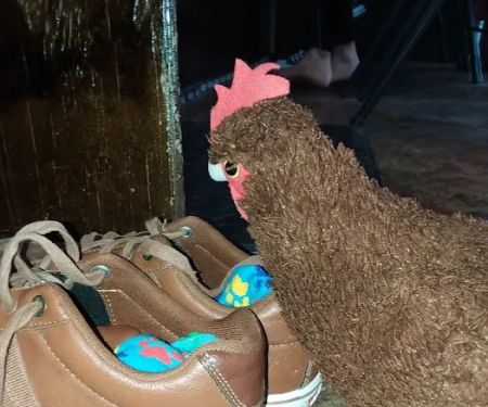 Rey Ortega Academy of Martial Arts