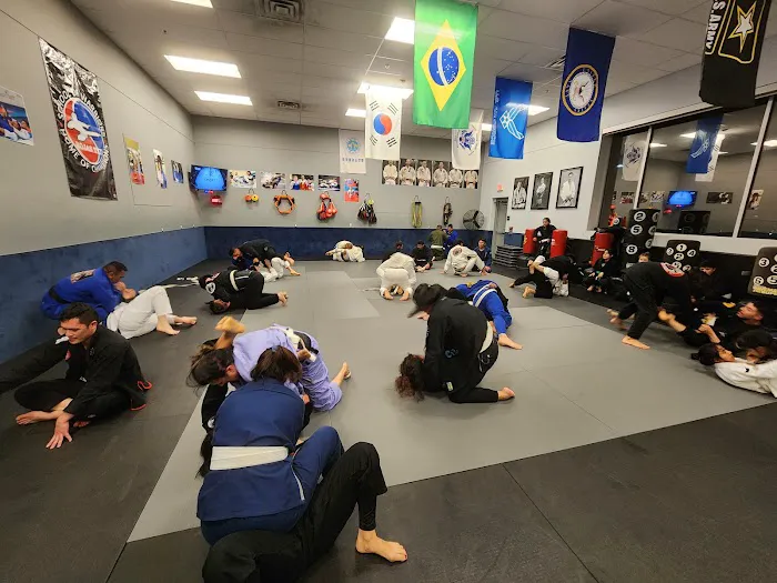 Python Jiu-Jitsu Academy Picture 1