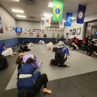 Python Jiu-Jitsu Academy ico
