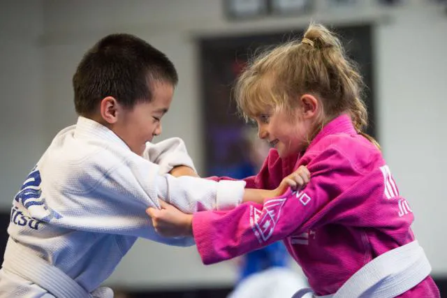 Python Jiu-Jitsu Academy Picture 4
